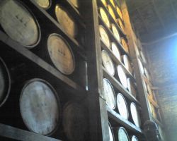 Woodford Reserve Brewery
